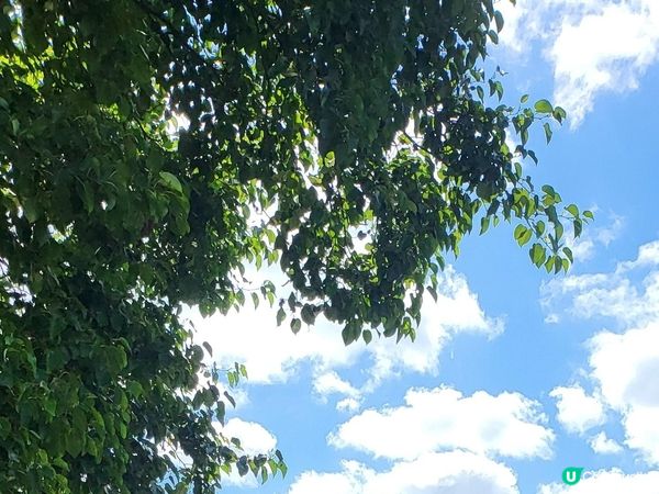 迷你歐洲 Mini-Europe (Part I)