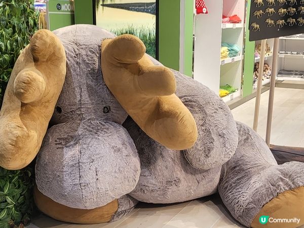 商店櫥窗 - 好大只的公仔