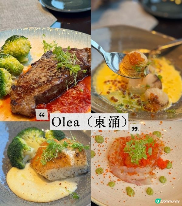 東涌高質地中海菜@Olea