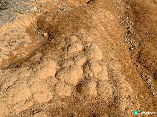 【菠蘿山】行山攻略！⛰️ 港版大峽谷打卡！📸