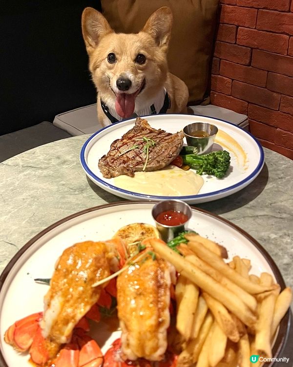 《西餐推介🍽️》