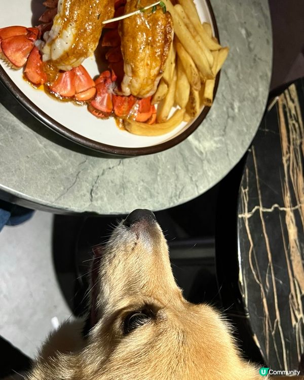 《西餐推介🍽️》