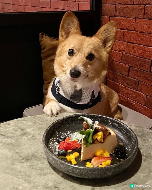 《西餐推介🍽️》