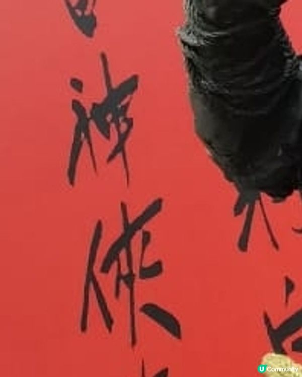 係咩展覽估估下
