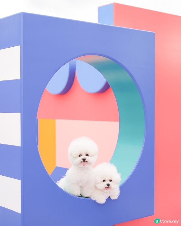 真係唔好意思啦哥哥~又係妹妹獨頭！