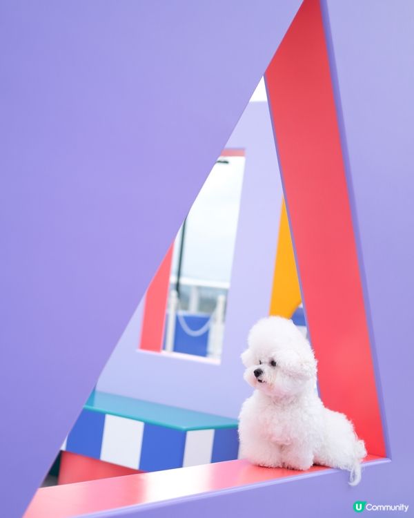 真係唔好意思啦哥哥~又係妹妹獨頭！