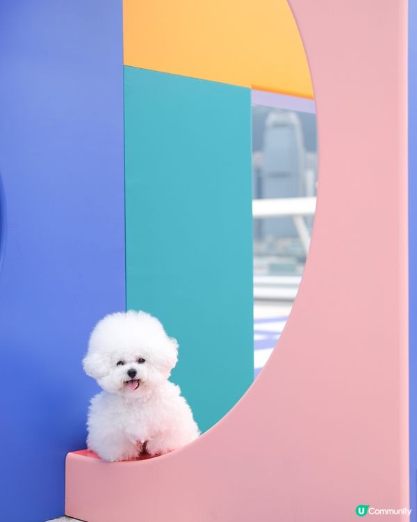 真係唔好意思啦哥哥~又係妹妹獨頭！