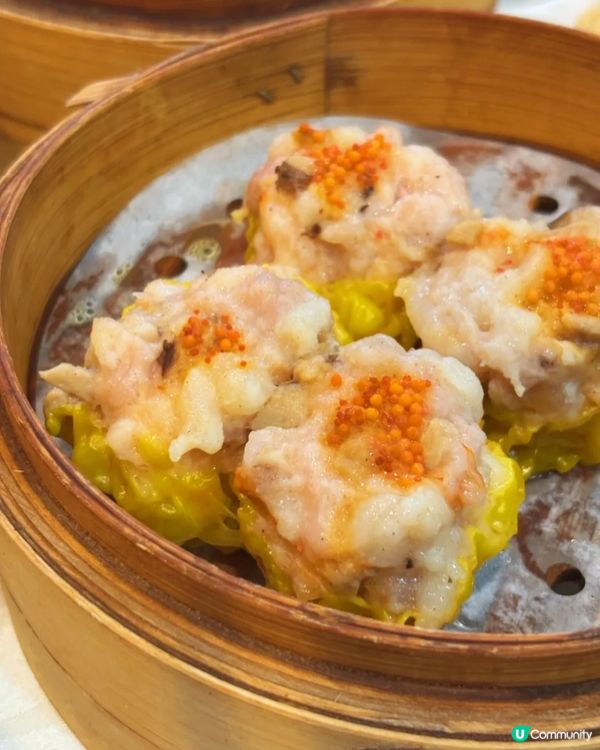 荃灣|無限時點心火鍋放題!晚市仲有片皮鴨驚喜!🥟🍲