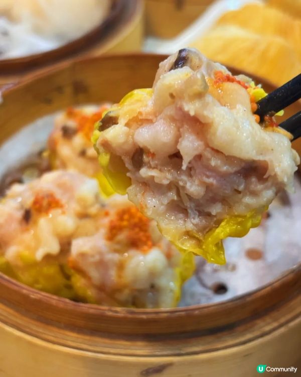 荃灣|無限時點心火鍋放題!晚市仲有片皮鴨驚喜!🥟🍲