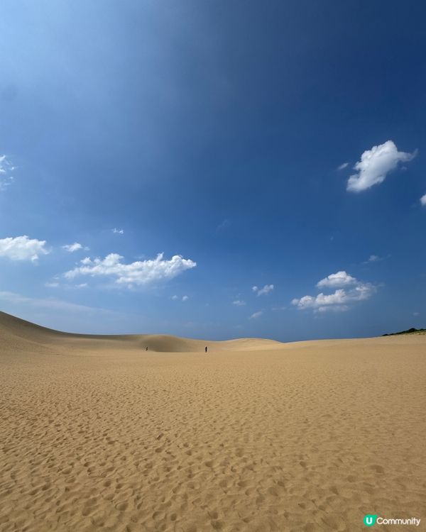 日本GO！🇯🇵米子快閃鳥取砂丘！🏜️
