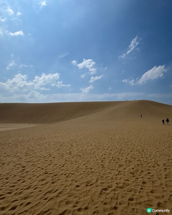 日本GO！🇯🇵米子快閃鳥取砂丘！🏜️