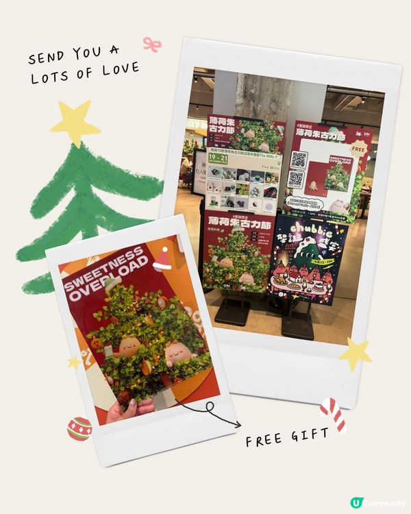 期間限定💚🍫薄荷朱古力市集