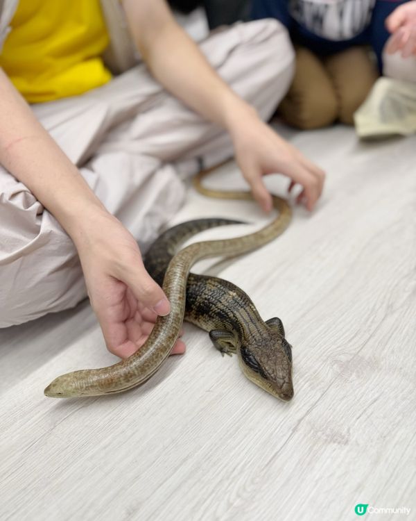 媽咪蛇頸初體驗🐍！緊張又興奮🤩