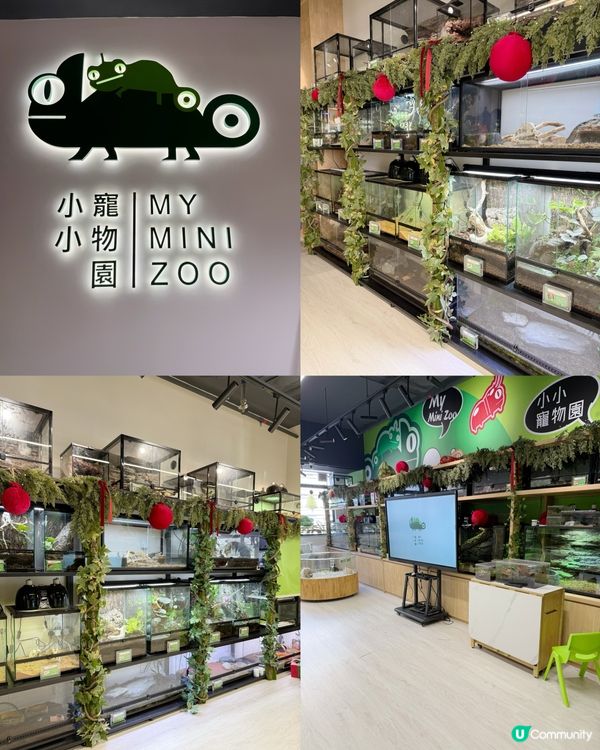 媽咪蛇頸初體驗🐍！緊張又興奮🤩