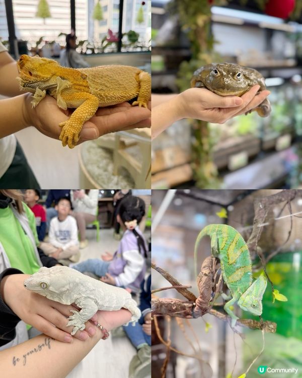 媽咪蛇頸初體驗🐍！緊張又興奮🤩