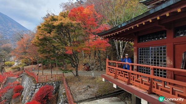 秋天日本賞楓之旅