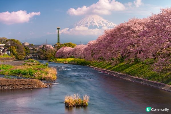 #Chill嘆酒店旅人祭  #別要再蝨眠