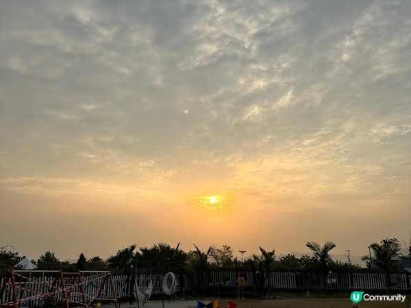 鴻運燒烤大尾督