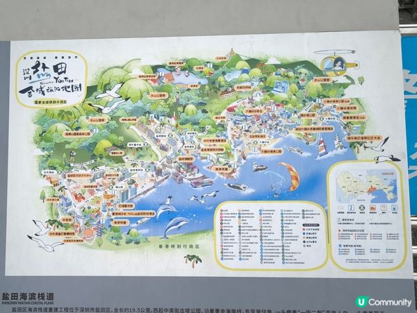 ¥103 深圳抵食乳鴿海鮮餐 乳鴿+扇貝+魷魚+炒菜+蔥油餅