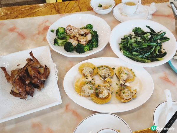 ¥103 深圳抵食乳鴿海鮮餐 乳鴿+扇貝+魷魚+炒菜+蔥油餅