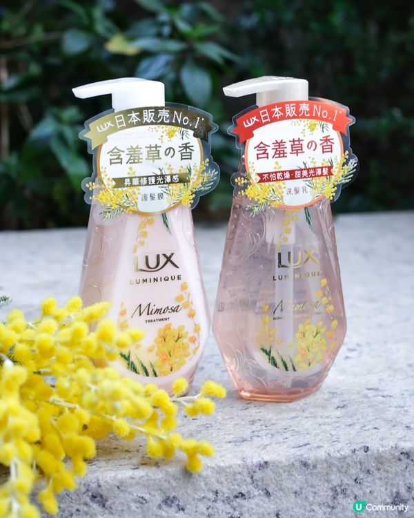 🌸春日戀愛感Get!日本LUX含羞草花香系列