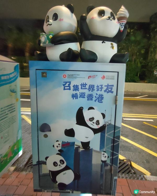  🐼 維園對面打卡熱點！熊貓信箱 & 影相➕食雪糕！🍦