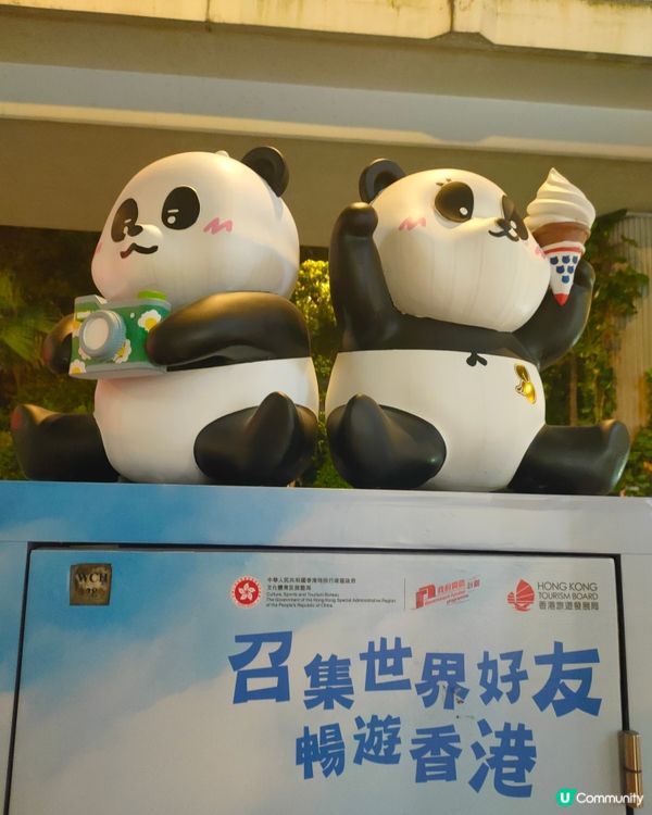  🐼 維園對面打卡熱點！熊貓信箱 & 影相➕食雪糕！🍦