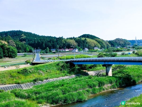 隱世豆腐店，必食豆腐雪糕🍦🤤
