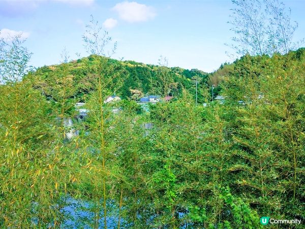 隱世豆腐店，必食豆腐雪糕🍦🤤