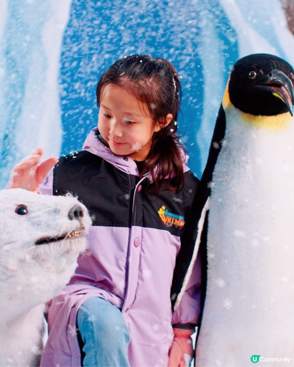 「Whimsy 歡樂天地」最大旗艦店登陸灣仔！