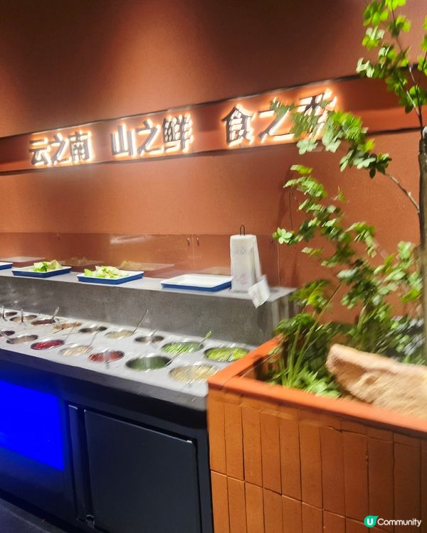  ✨️✨️人氣雲南特色火鍋: 芸山季雲南野生菌火鍋😋