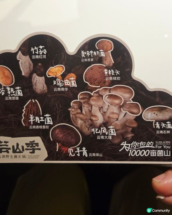  ✨️✨️人氣雲南特色火鍋: 芸山季雲南野生菌火鍋😋