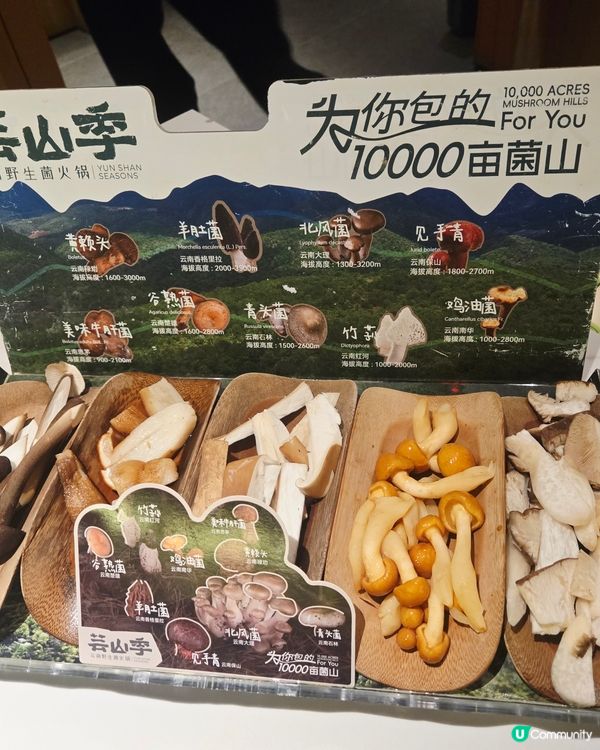  ✨️✨️人氣雲南特色火鍋: 芸山季雲南野生菌火鍋😋