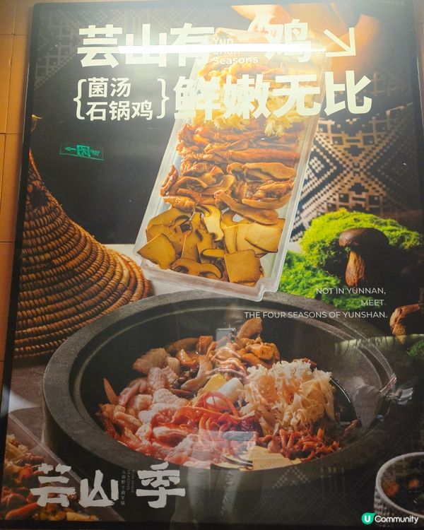  ✨️✨️人氣雲南特色火鍋: 芸山季雲南野生菌火鍋😋