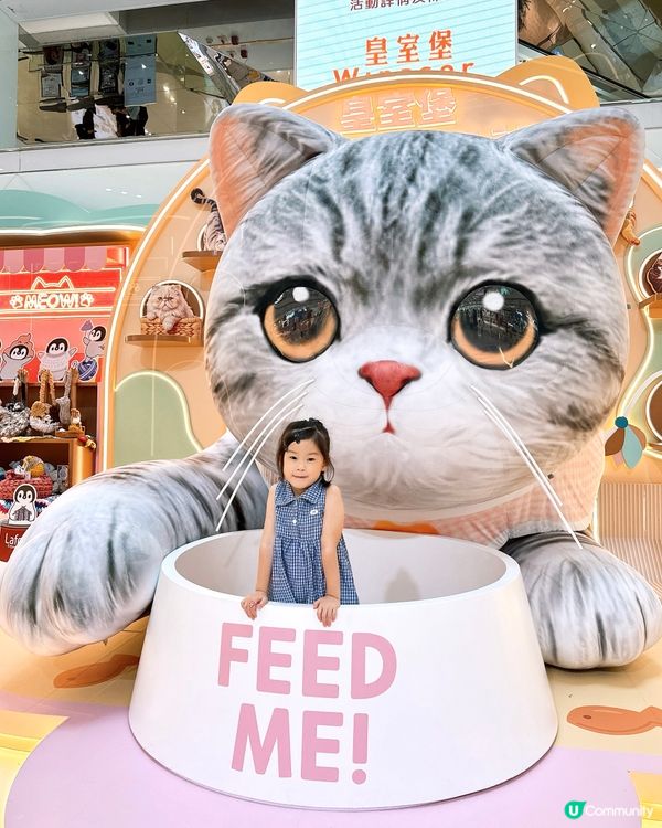 貓奴必衝🐈.ᐟ‪‪.ᐟ 皇室堡《 喵の玩樂日誌 》