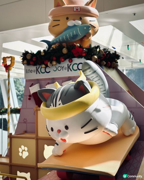 與商場可愛貓貓😸聖誕🎄裝飾打卡