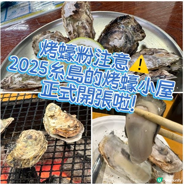 🦪 粉注意⚠️2025糸島的烤蠔小屋正式開張啦!😙