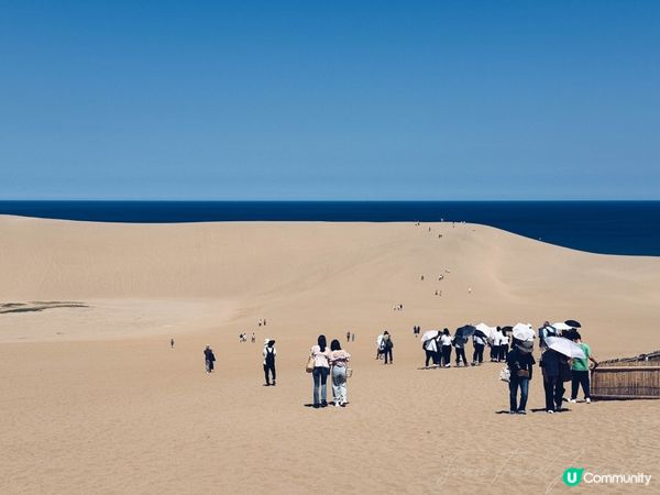 日本鳥取砂丘 登上馬背賞日本海超美海景