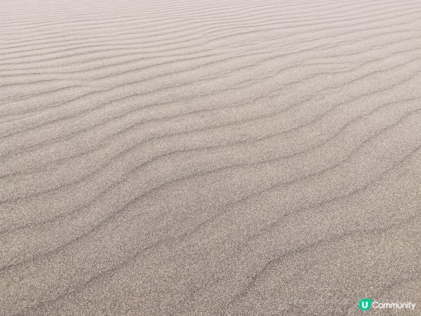 日本鳥取砂丘 登上馬背賞日本海超美海景