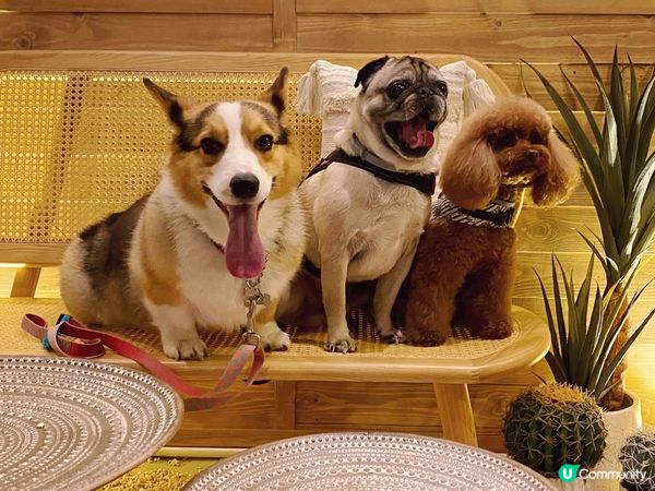 看看我哋"笑逐顏開"樣子🤣🤣,因為我哋去左間有得食又有得玩c...