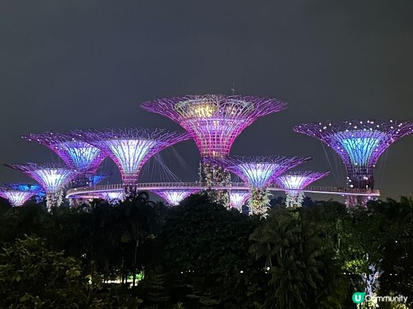 生活足跡之新加坡