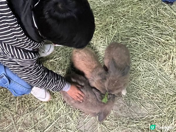 親子好去處 小白兔農莊
