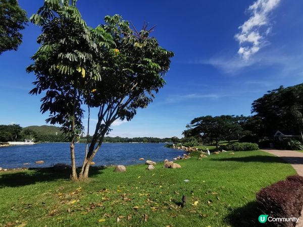 #生活足跡 #寧靜 #美景