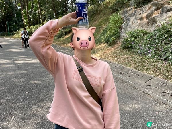 明明係去影紅葉