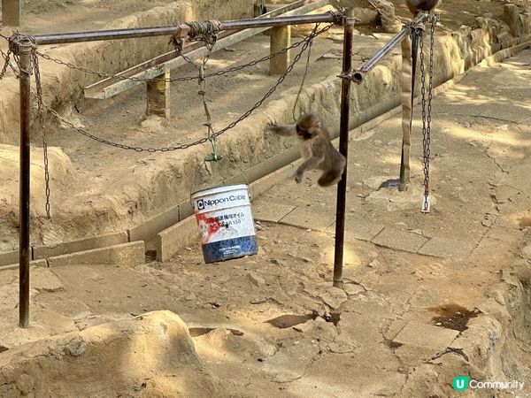 東京近郊最大人氣@高尾山