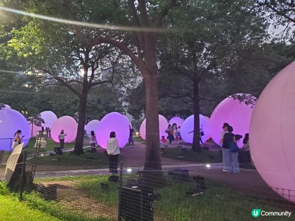 《最後今晚 ~ teamLab : 光漣》