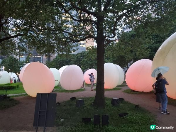 《最後今晚 ~ teamLab : 光漣》