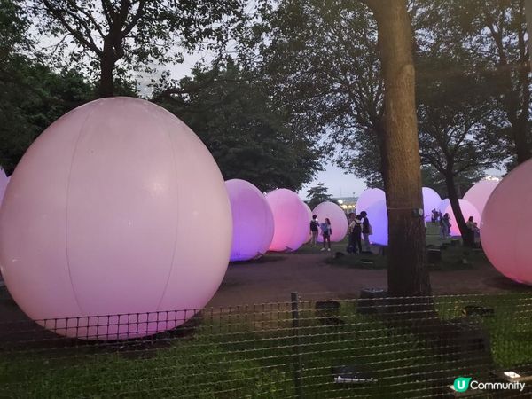 《最後今晚 ~ teamLab : 光漣》