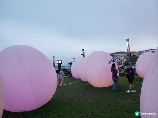 《最後今晚 ~ teamLab : 光漣》