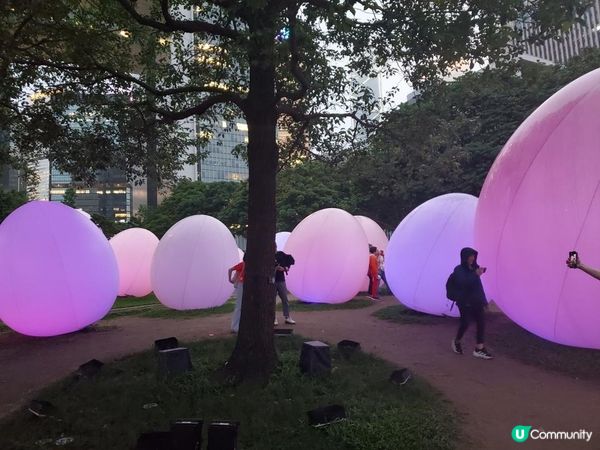 《最後今晚 ~ teamLab : 光漣》